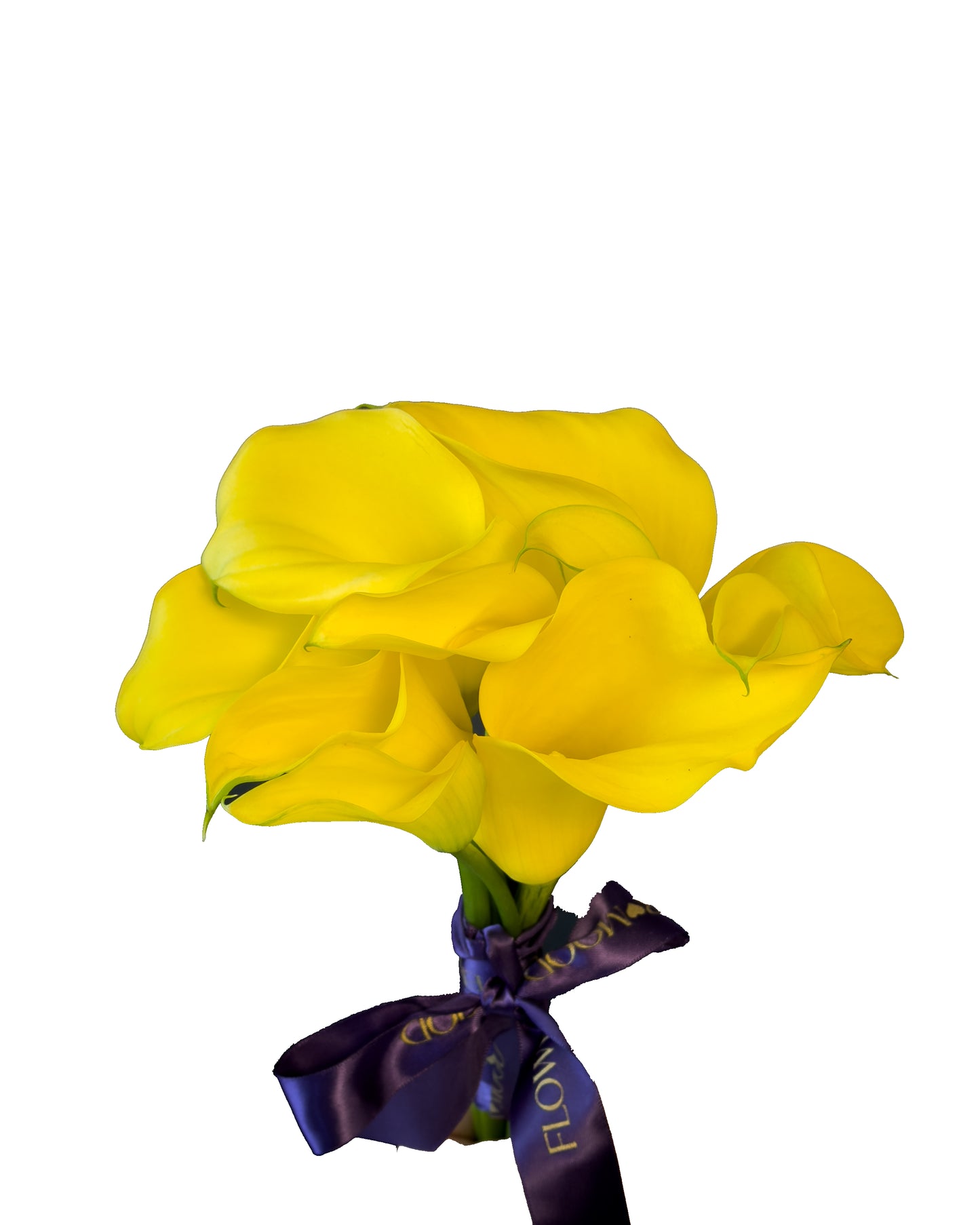Buchet Nasa Forever