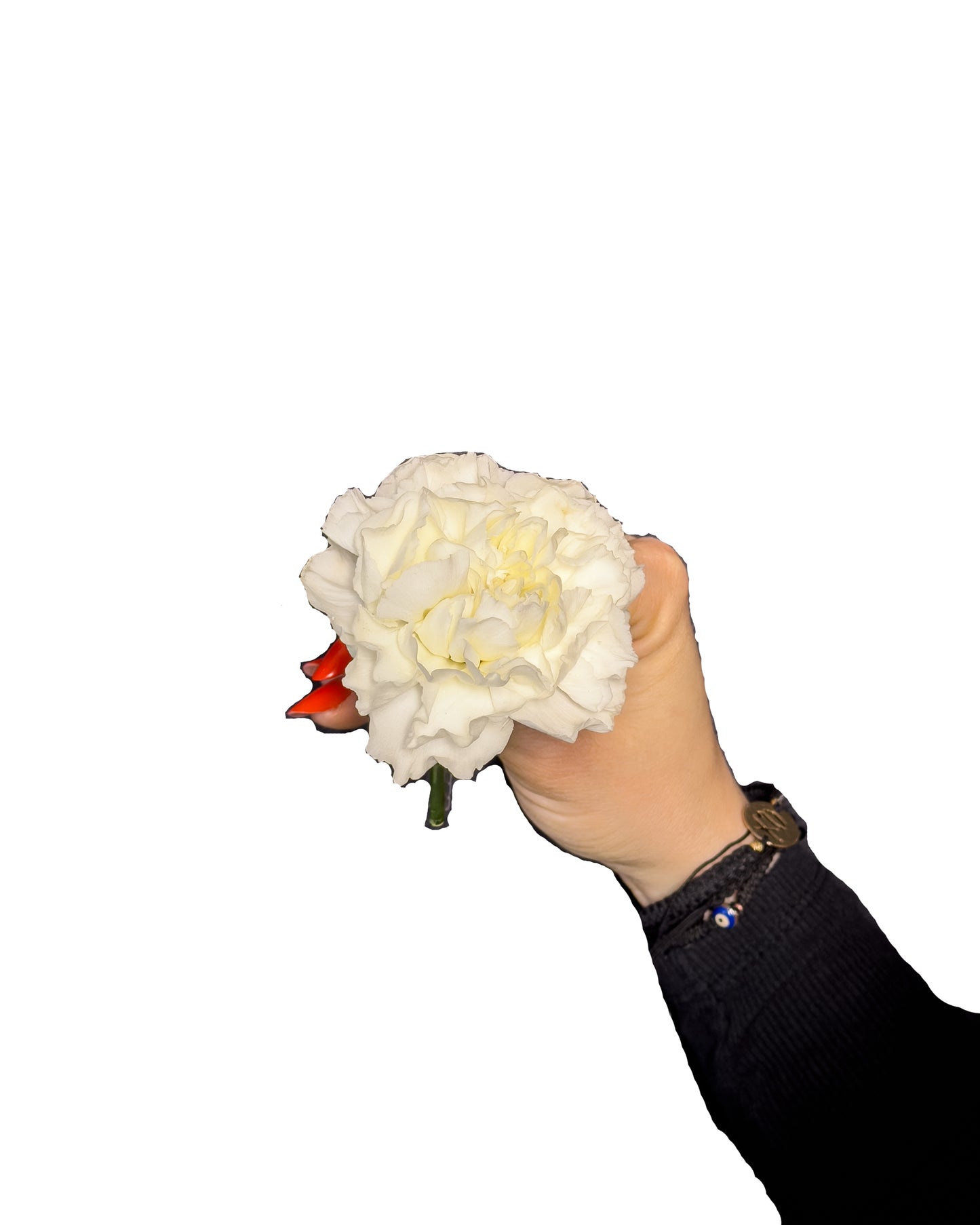 Cocarda Bloom