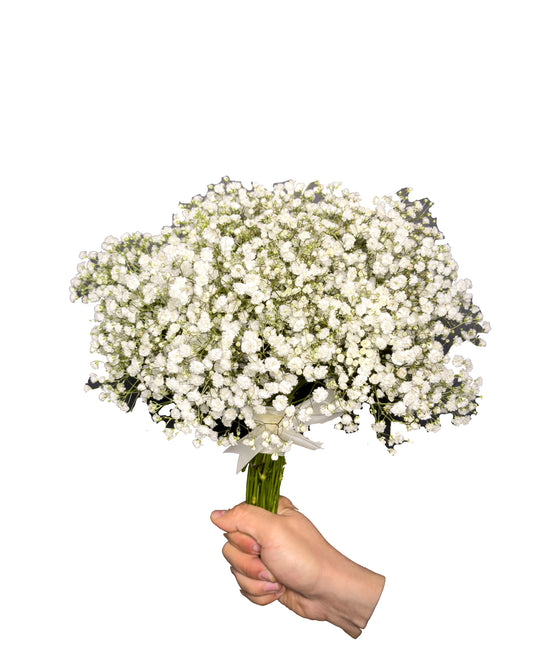 Buchet Mireasa Delight - Gypsophila