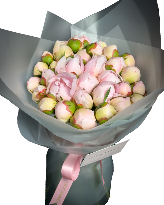 Buchet First Kiss - 33 Bujori Sezon
